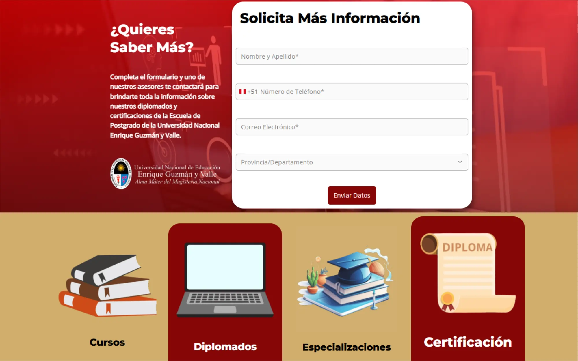 Sitio web AEPM